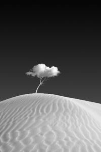 Cloud On Tree (1440x2960) Resolution Wallpaper