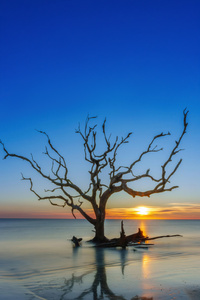 Jekyll Island Georgia Usa (640x1136) Resolution Wallpaper