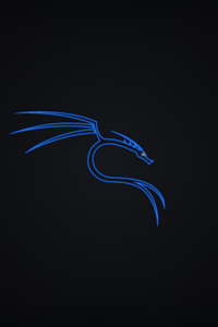 Kali Linux Dragon 5k (240x320) Resolution Wallpaper