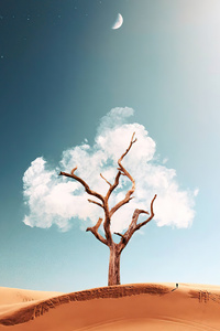 The Cloud Tree 5k (1440x2960) Resolution Wallpaper