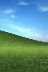 Windows Xp In Nature (240x320) Resolution Wallpaper