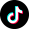 TikTok Brand Logo