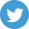 Twitter Brand Logo