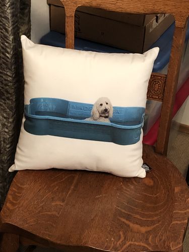 undefined review of Custom Pet Pillow image 1 out of 1