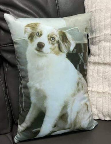 undefined review of Custom Dog Pillow image 1 out of 1