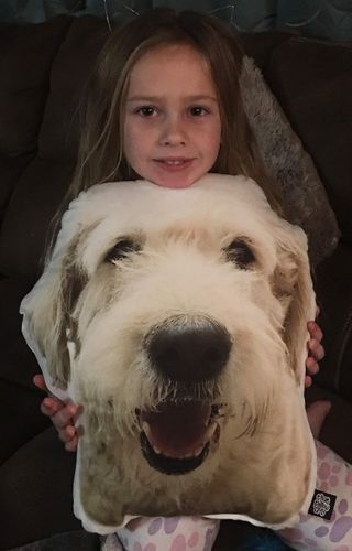 undefined review of Custom Animal Pillow image 1 out of 1