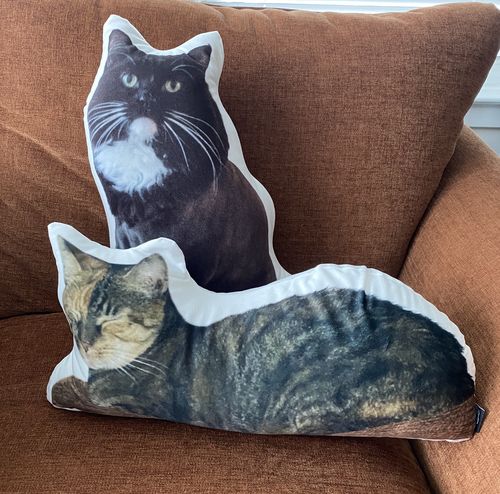 undefined review of Custom Cat Pillow image 1 out of 1