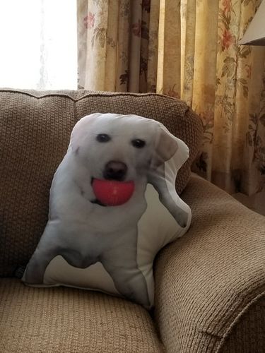 undefined review of Custom Dog Pillow image 1 out of 1