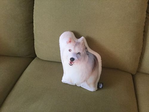 undefined review of Custom Pet Pillow image 1 out of 1