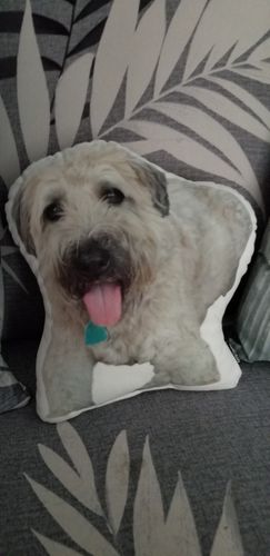 undefined review of Custom Dog Pillow image 1 out of 1