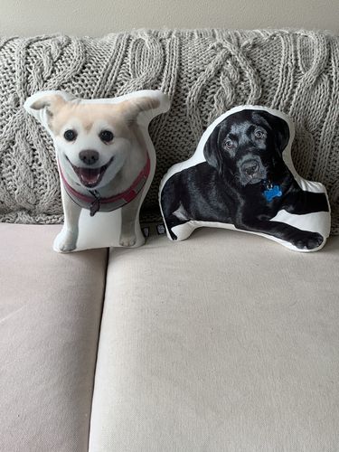 undefined review of Custom Dog Pillow image 1 out of 1