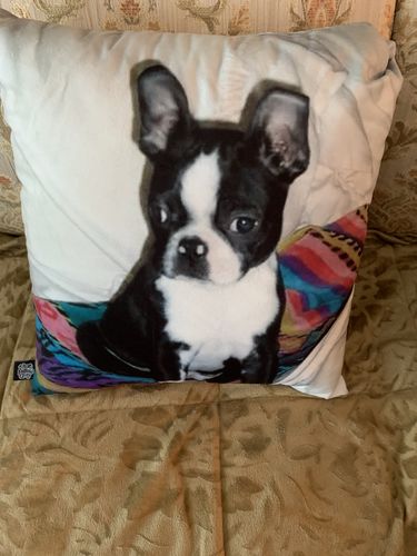 undefined review of Custom Portrait Pillow image 1 out of 1