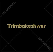 Trimbakeshwar lord Shiva jyotirlinga typography in golden color. Trimbakeshwar lettering