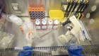 CRISPR cures and cancer vaccines: researchers can help to shepherd them to market