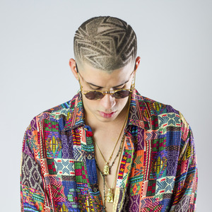 Bad Bunny Concert Tickets - 2024 Tour Dates.