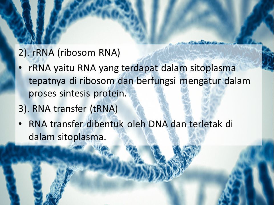 KELOMPOK 1 MK : BIOTEKNOLOGI HASPER. Genetika adalah ilmu yang ...