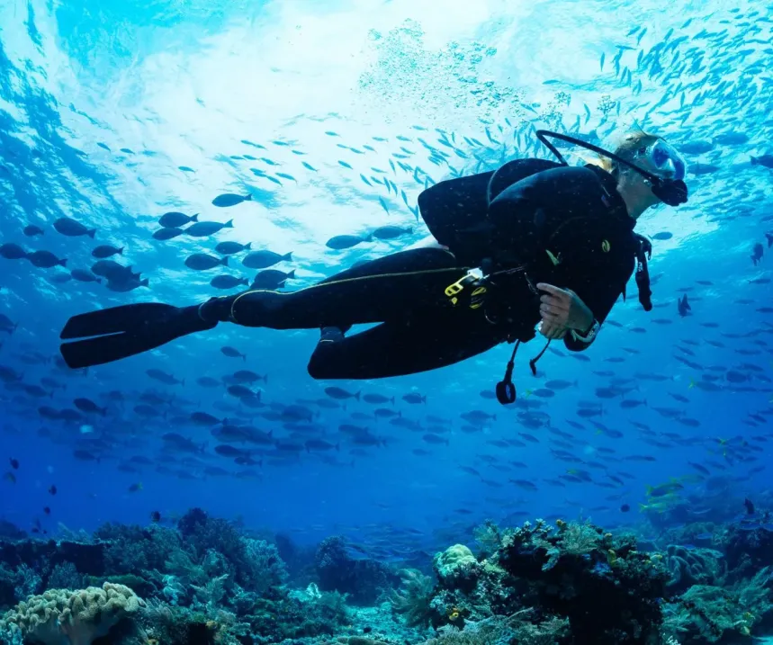 What Is Scuba Diving?