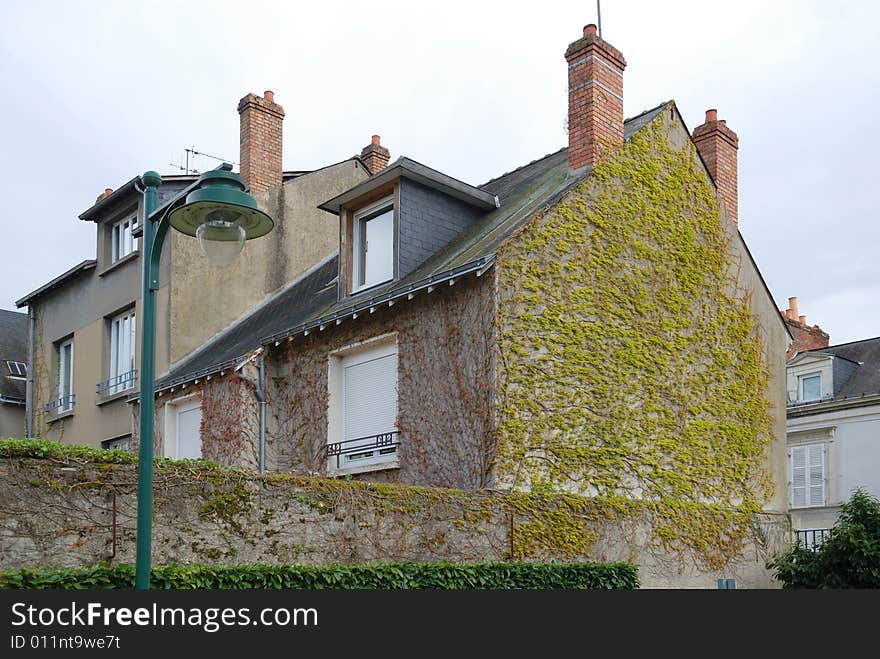 Modest houses wreathed with sprouts of creeper, stone fence and street lamp in the foreground. Modest houses wreathed with sprouts of creeper, stone fence and street lamp in the foreground