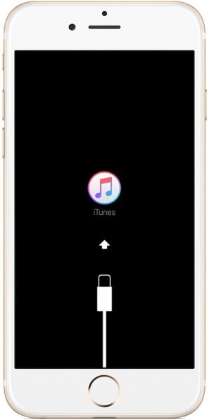 connect iphone to itunes