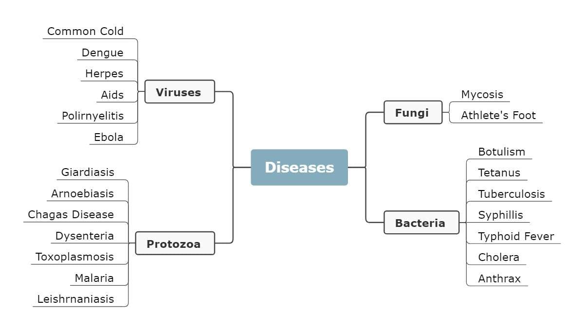 simple-concept-map