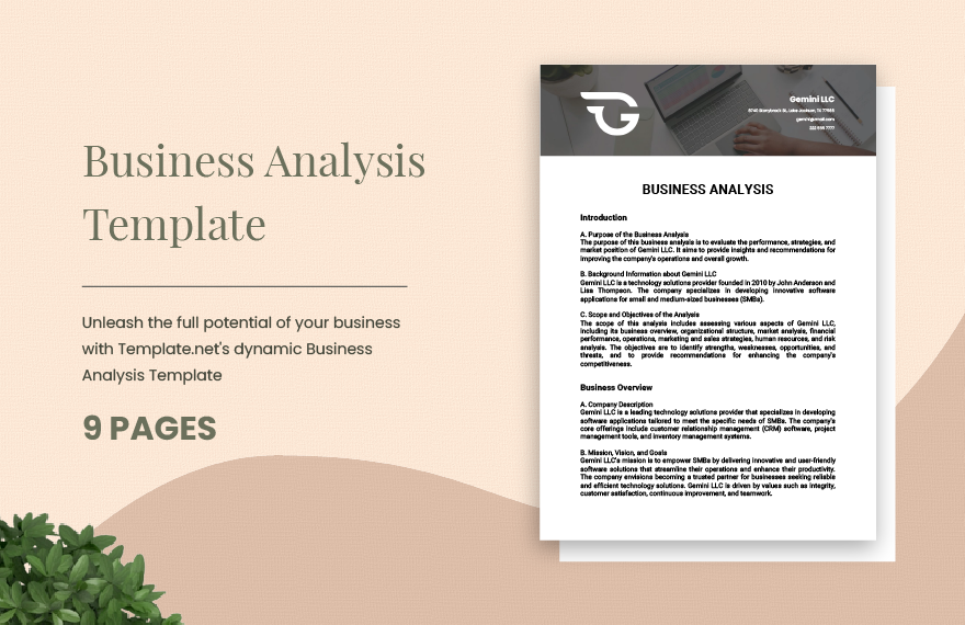 Business Analysis Template in Word, Google Docs - Download | Template.net