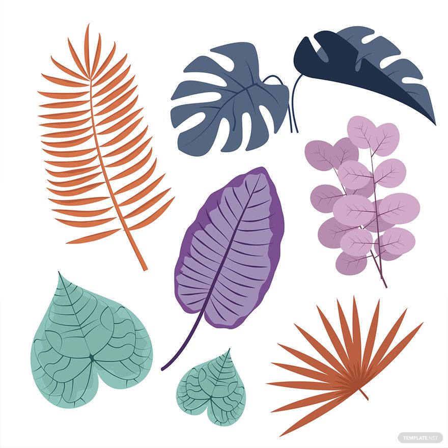 Plant Leaf Vector