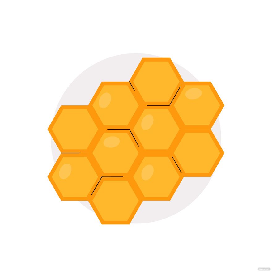 Bee Hive Vector