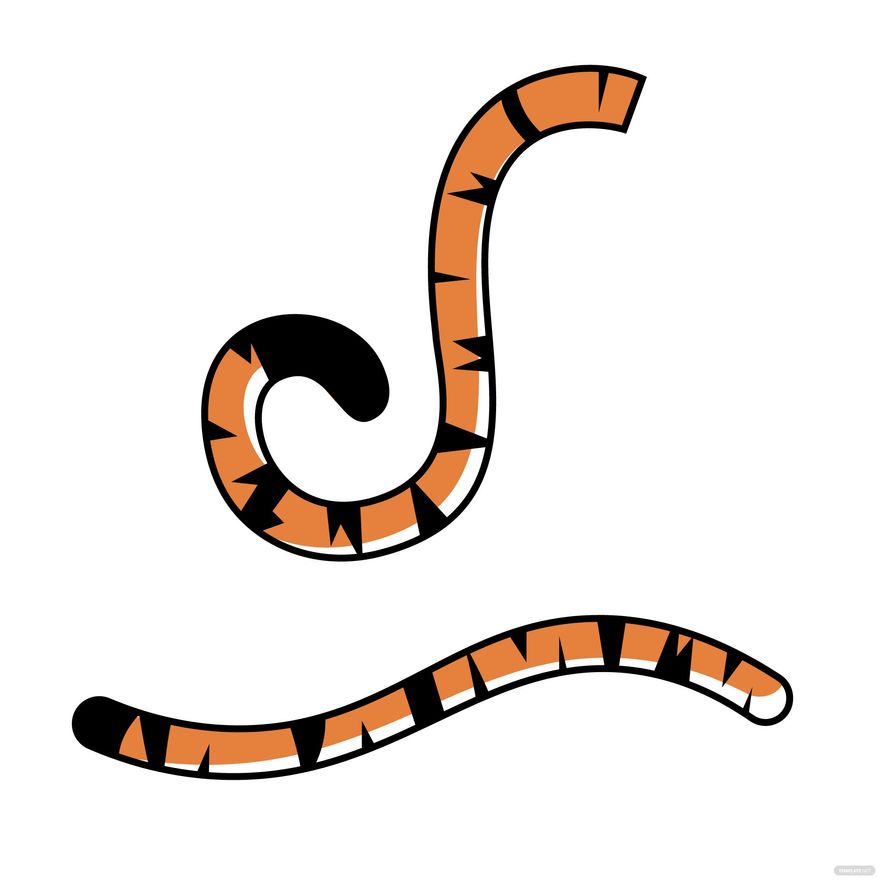 Tiger Tail Vector in Illustrator, SVG, JPG, EPS, PNG - Download | Template.net