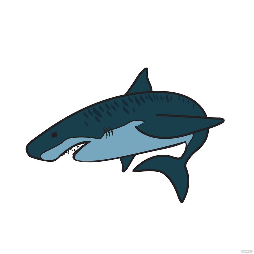 Tiger Shark Vector in Illustrator, SVG, JPG, EPS, PNG - Download | Template.net