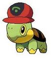 Turtwig com o boné do Ash.