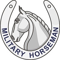 U.S. Army Military Horseman Identification badge (IB)