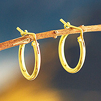 Gold plated hoop earrings, 'Always Classic' (.7 inch) - Small Gold Plated Hoop Earrings from Peru (.7 Inch)