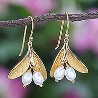 Gold-plated cultured pearl dangle earrings, 'Bearing Fruit' - Gold-Plated Cultured Pearl Dangle Earrings