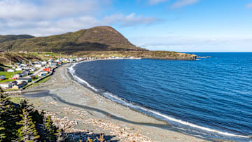 The beaches of Newfoundland are covered with gooey white blobs.