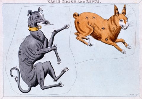 The constellations of Canis Major and Lepus.