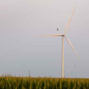 Linn County supervisors likely to OK new utility-scale wind rules