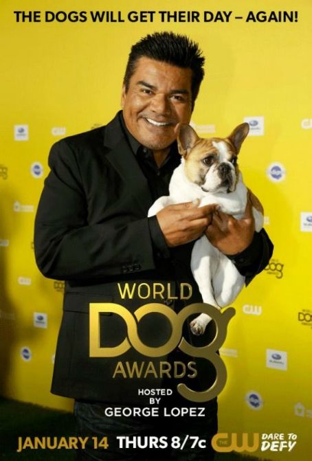 The World Dog Awards