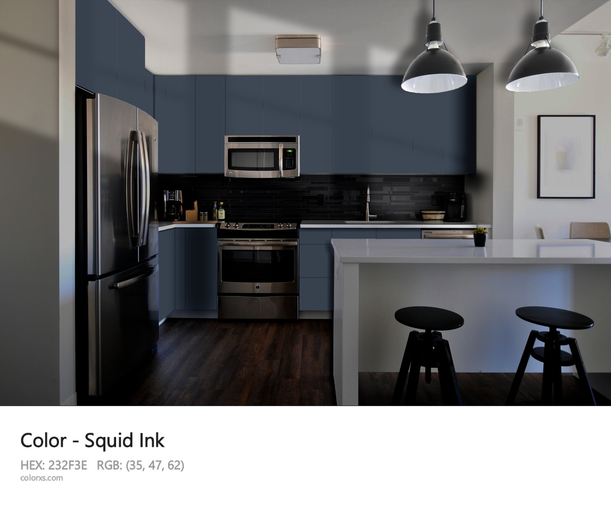 Squid Ink Color modular kitchen design