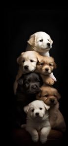 Puppy tower