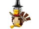 Set No: 40091  Name: Thanksgiving Turkey