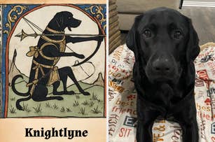 Illustration of a black dog dressed as an archer beside a photo of a real black dog. Text at the bottom reads "Knightlyne."