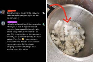 Split image: A student warns other residents of a strong pepper spray smell due to a mishap and advises opening windows. The photo shows a moldy pot with an arrow pointing to it