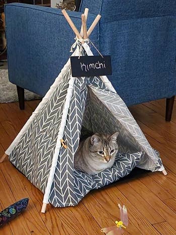 another reviewer's cat in the gray striped tent