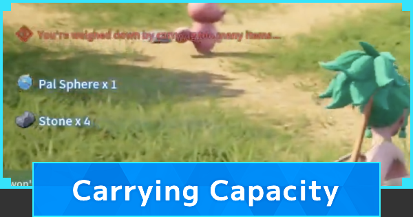 Carrying Capacity Guide - How to Increase Weight 