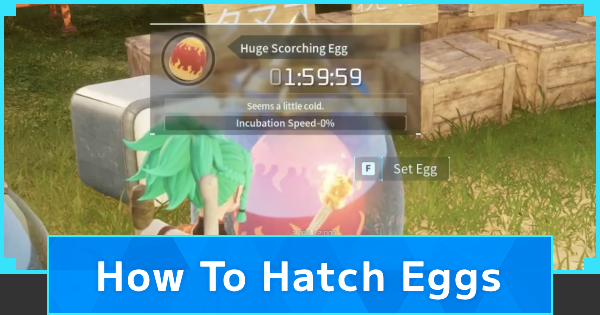 How To Hatch Eggs & Shorten Incubation Time