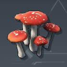 Mushroom