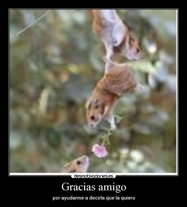 Gracias amigo | Desmotivaciones