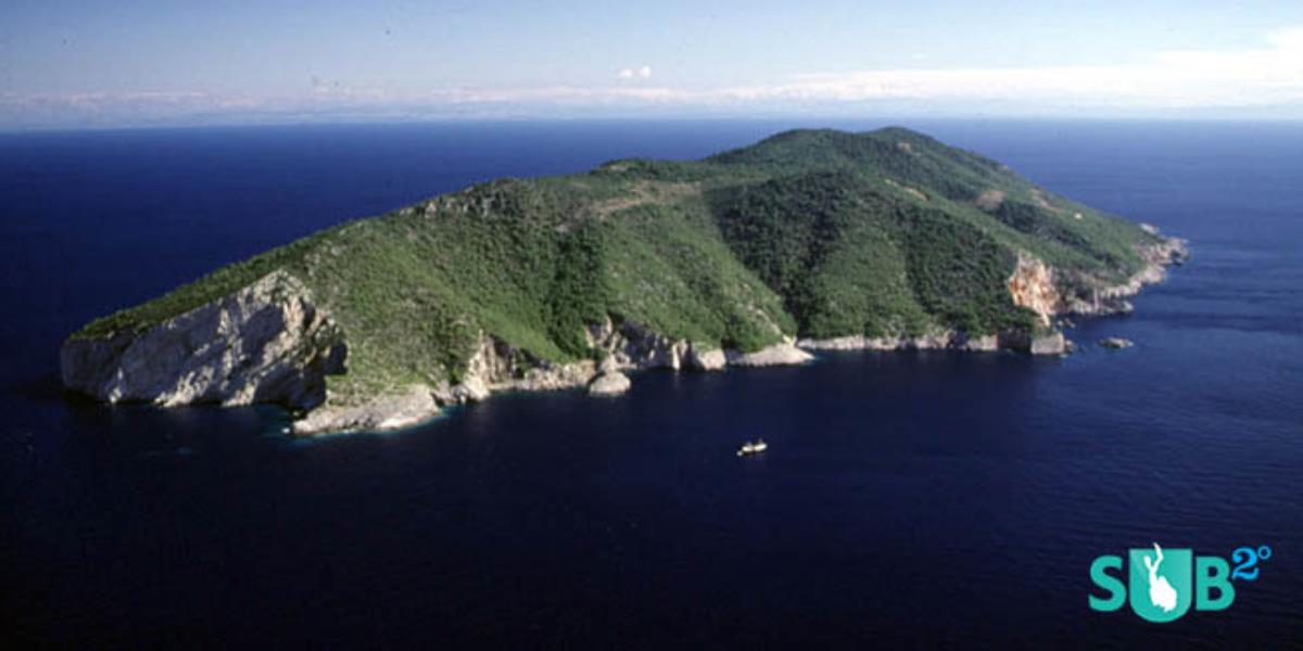 Island Svetac