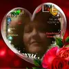 Lori Colbert - @loricolbert Tiktok Profile Photo