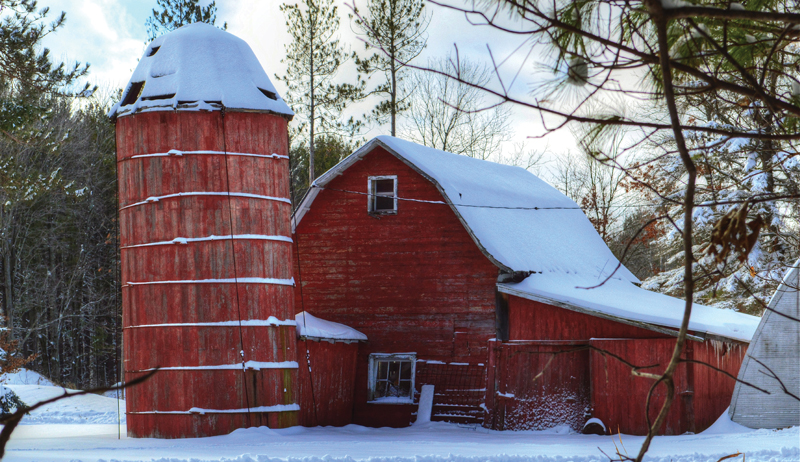 wood silos silos